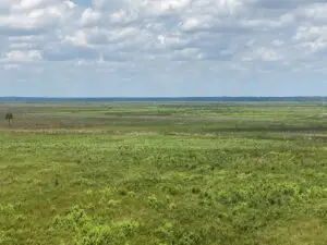 Photo from the Visitors Center of the open range on a sunny day